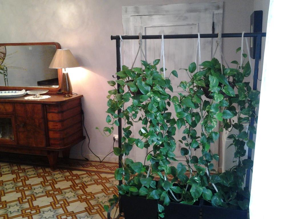 Medoacvs B&B Stra Bagian luar foto