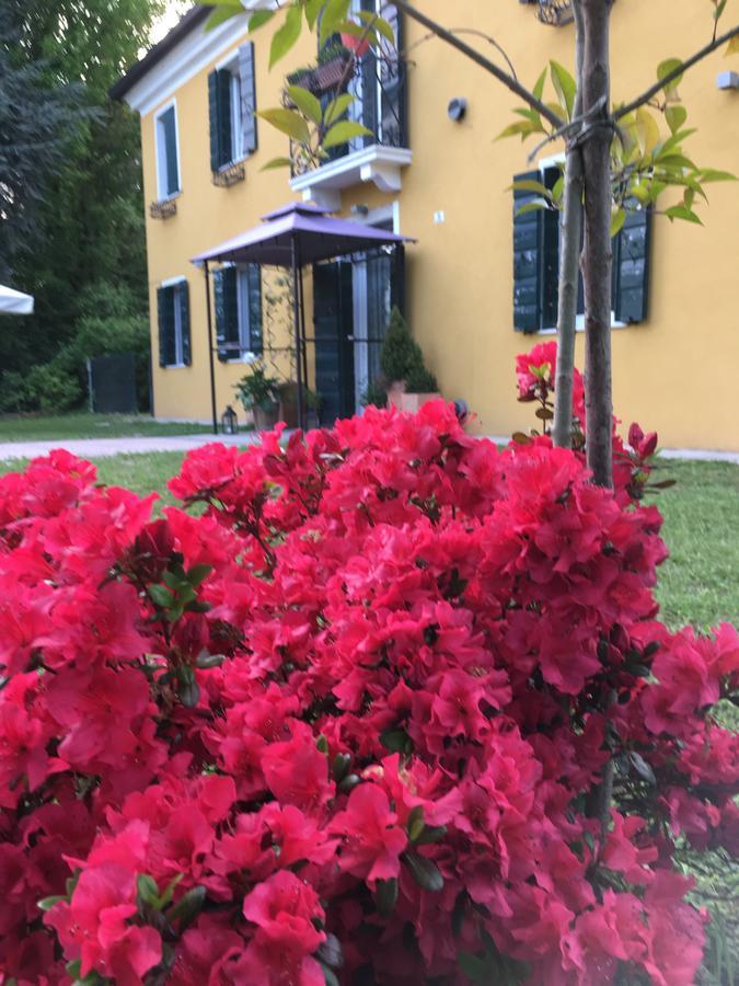 Medoacvs B&B Stra Bagian luar foto